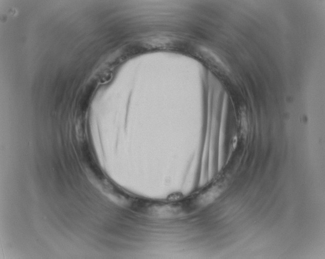 X0000077390408200611172044