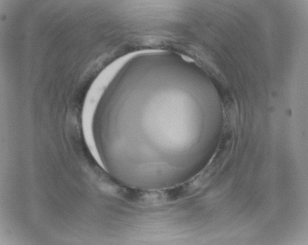 X0000077390415200611172044