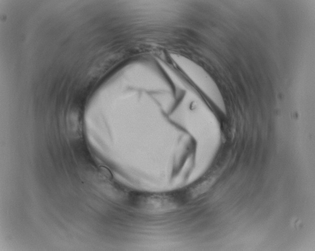 X0000077390420200611172044