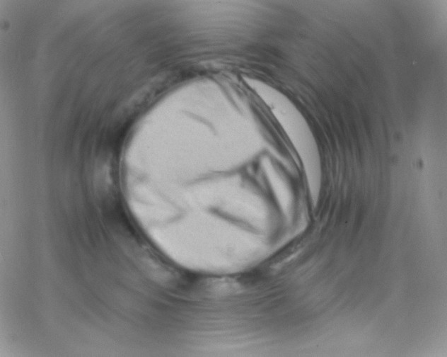 X0000077390424200611172044