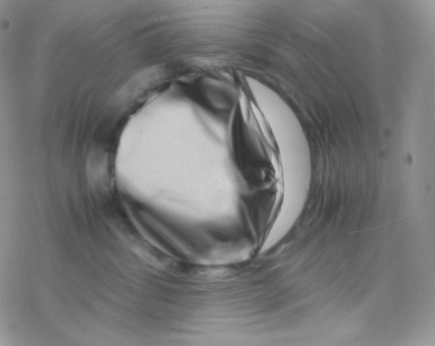 X0000077390428200611172044