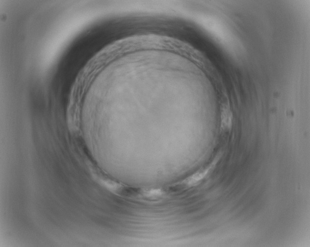 X0000077390431200611172044
