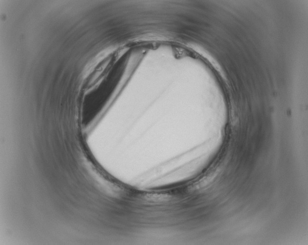 X0000077390437200611172043