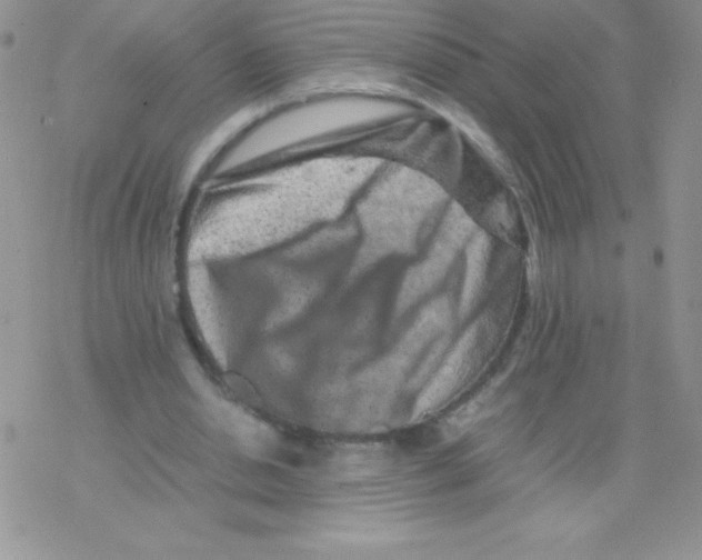 X0000077390438200611172043