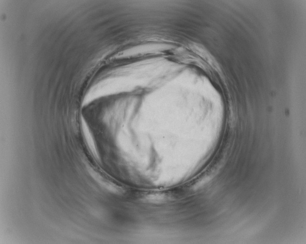 X0000077390441200611172043