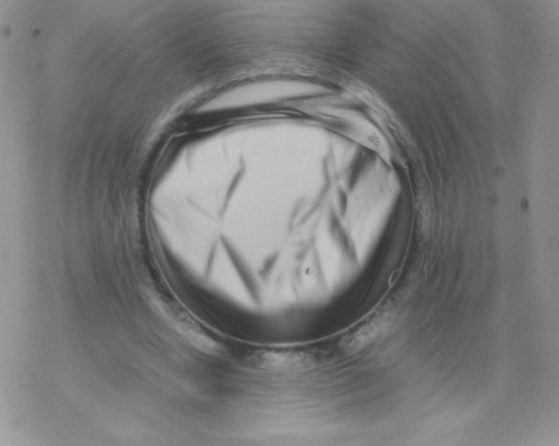 X0000077390442200611172043