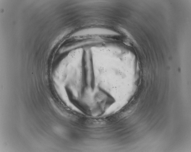 X0000077390443200611172043