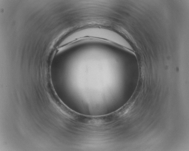 X0000077390444200611172043