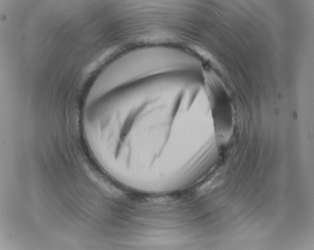 X0000077390446200611172043