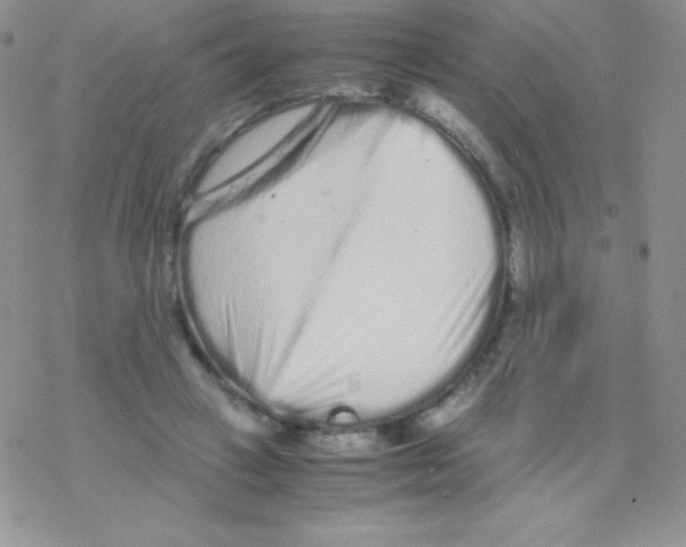 X0000077390449200611172043