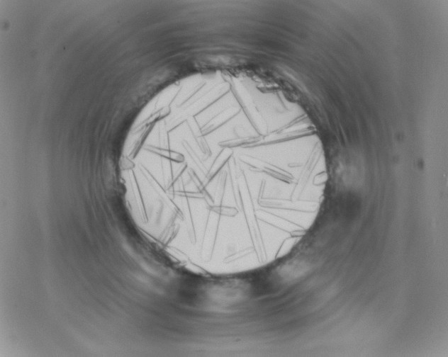 X0000077390459200611172043