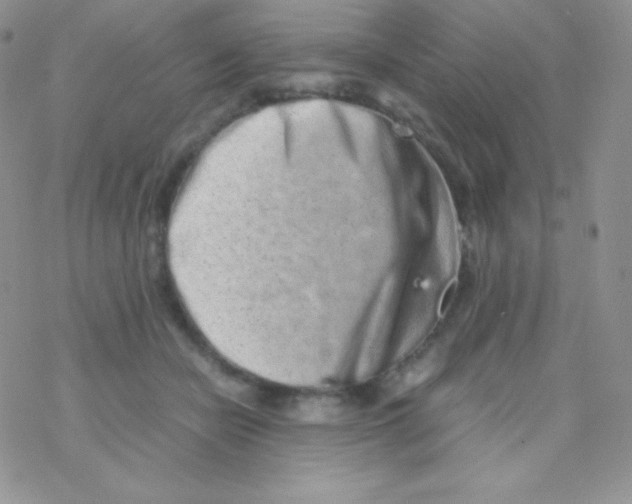 X0000077390462200611172043
