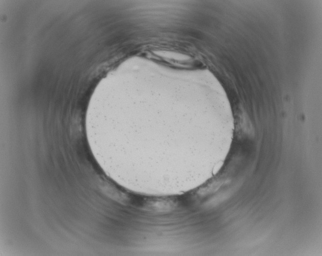 X0000077390466200611172043