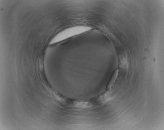 X0000077390471200611172043