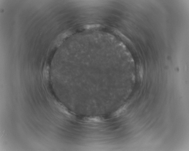 X0000077390475200611172043