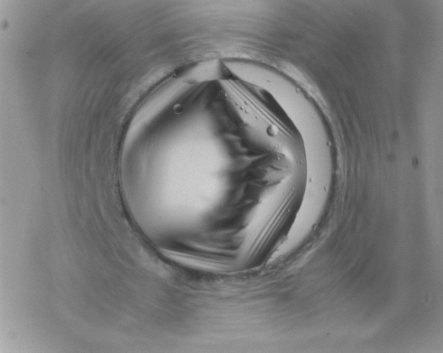 X0000077390481200611172043