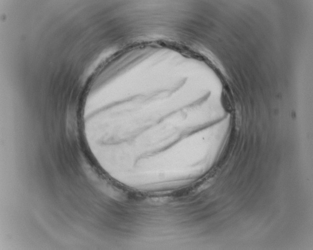 X0000077390482200611172043