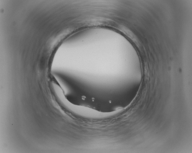 X0000077390485200611172043
