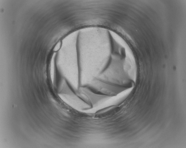 X0000077390486200611172043