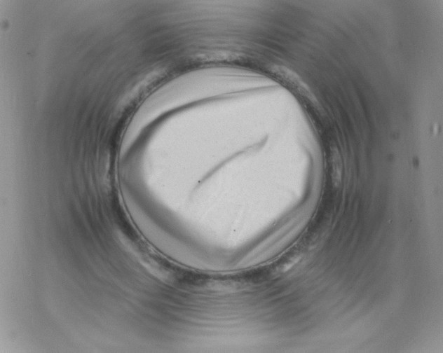 X0000077390490200611172043