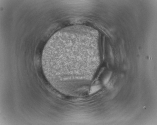X0000077390513200611172042