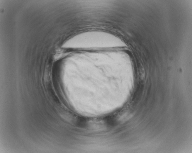 X0000077390515200611172042