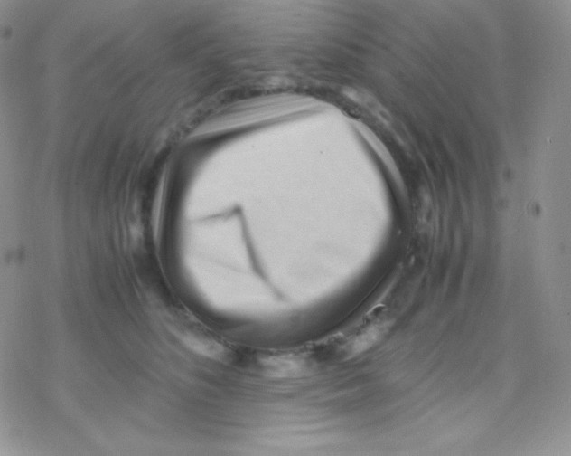 X0000077390516200611172042