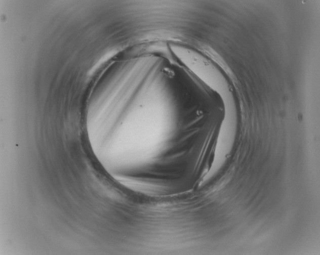 X0000077390530200611172041