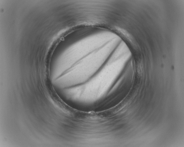 X0000077390540200611172041