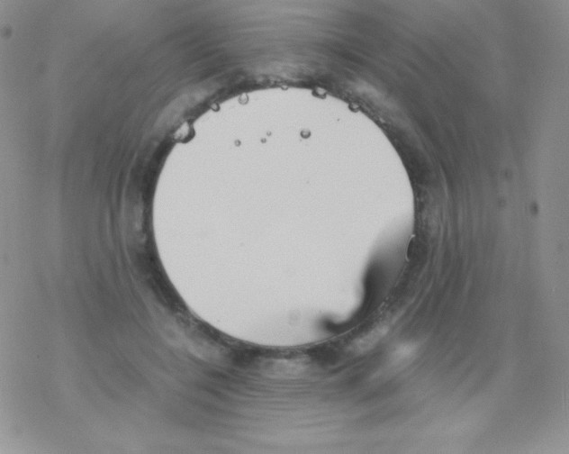 X0000077390548200611172041