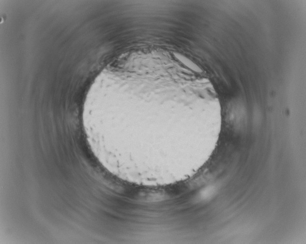 X0000077390559200611172042