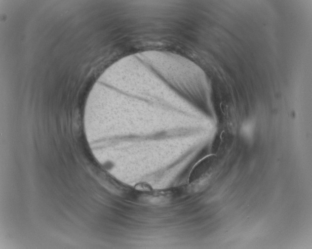 X0000077390563200611172042