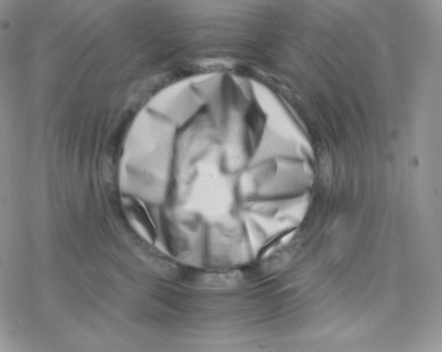 X0000077390571200611172042