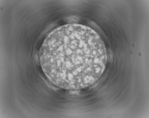 X0000077390573200611172042