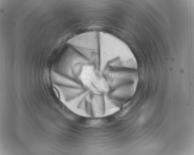 X0000077390575200611172042