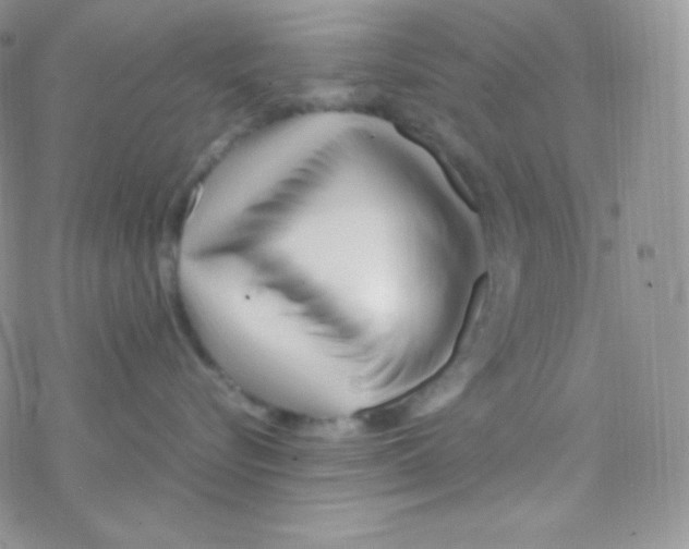 X0000077390576200611172042