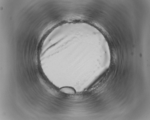X0000077390582200611172041