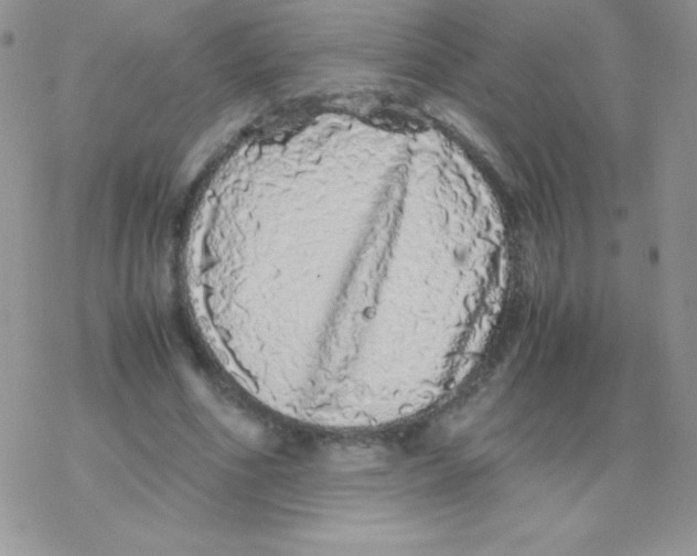 X0000077390586200611172041