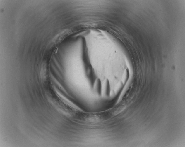 X0000077390600200611172041