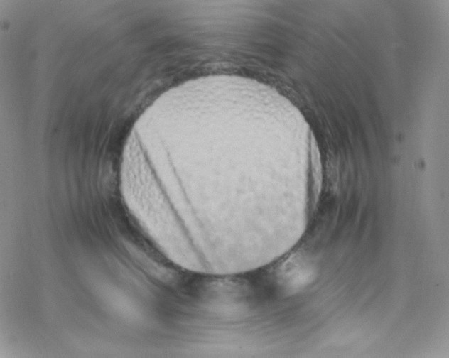 X0000077390614200611172041