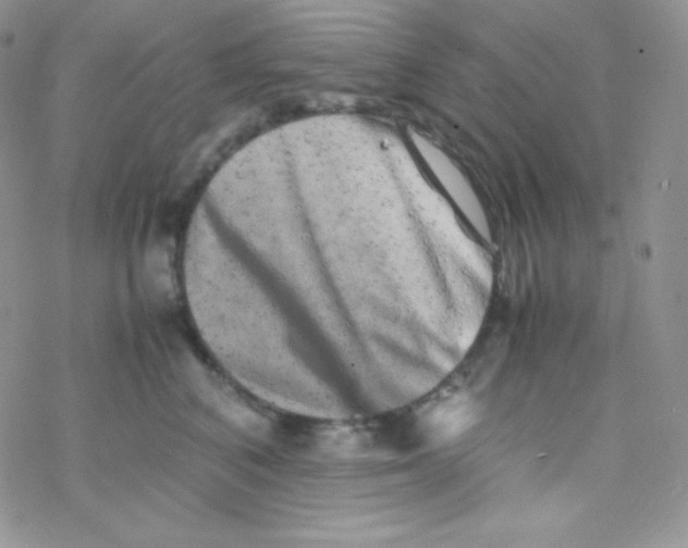 X0000077390616200611172041