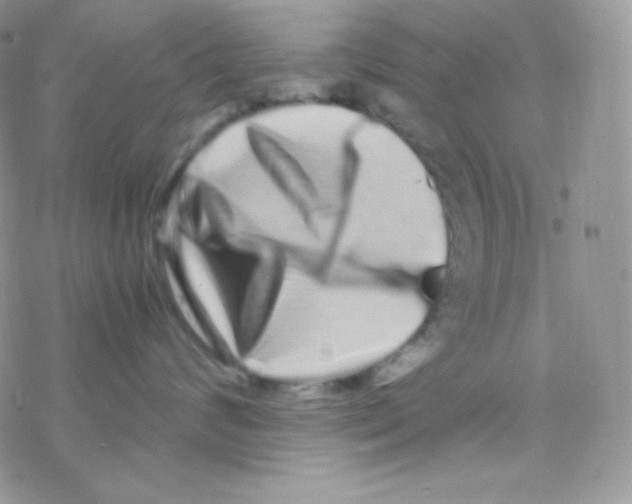 X0000077390624200611172040
