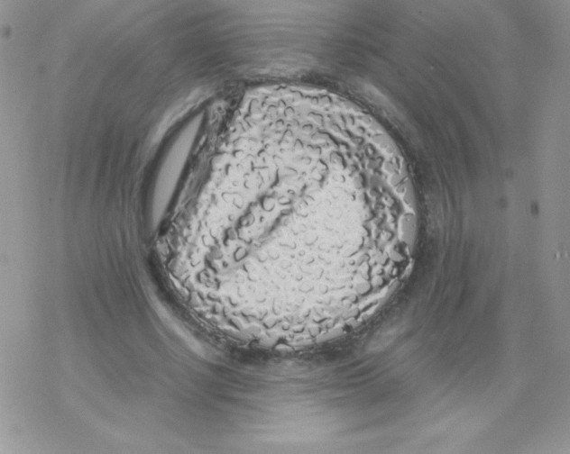 X0000077390634200611172040