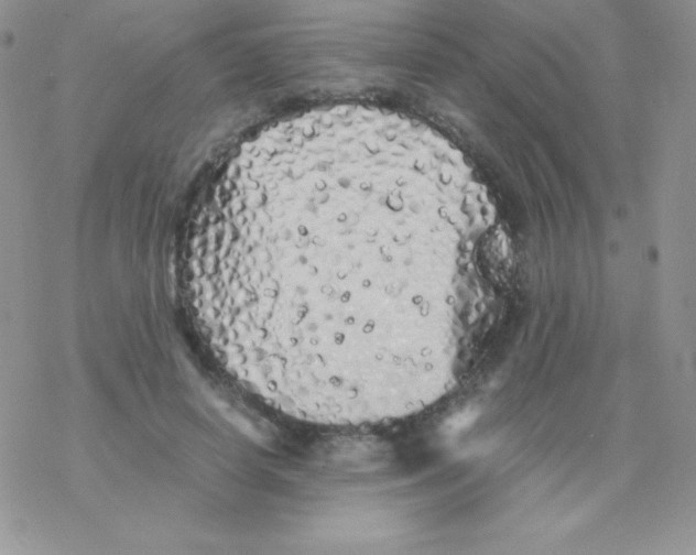 X0000077390642200611172040