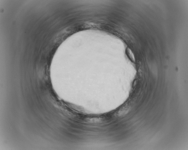 X0000077390649200611172040