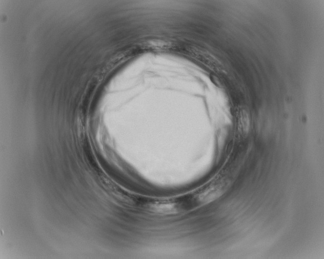 X0000077390651200611172040