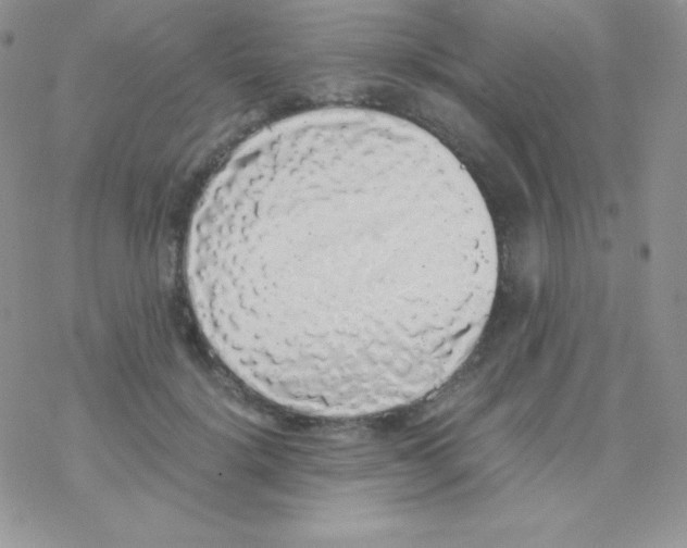 X0000077390652200611172040