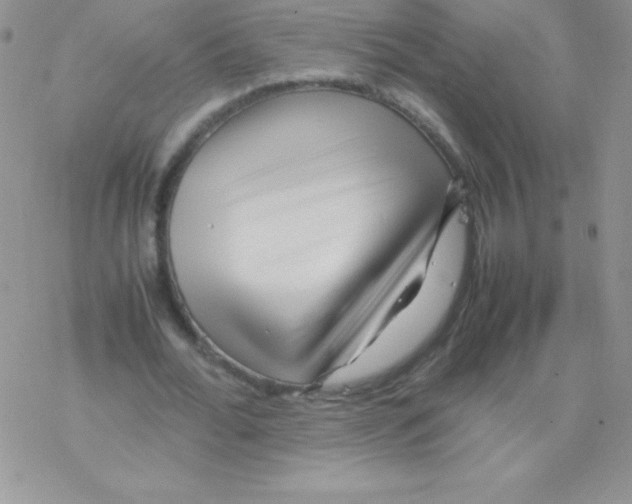 X0000077390676200611172040