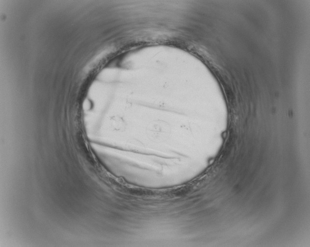 X0000077390679200611172040