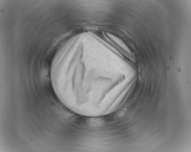X0000077390714200611172039